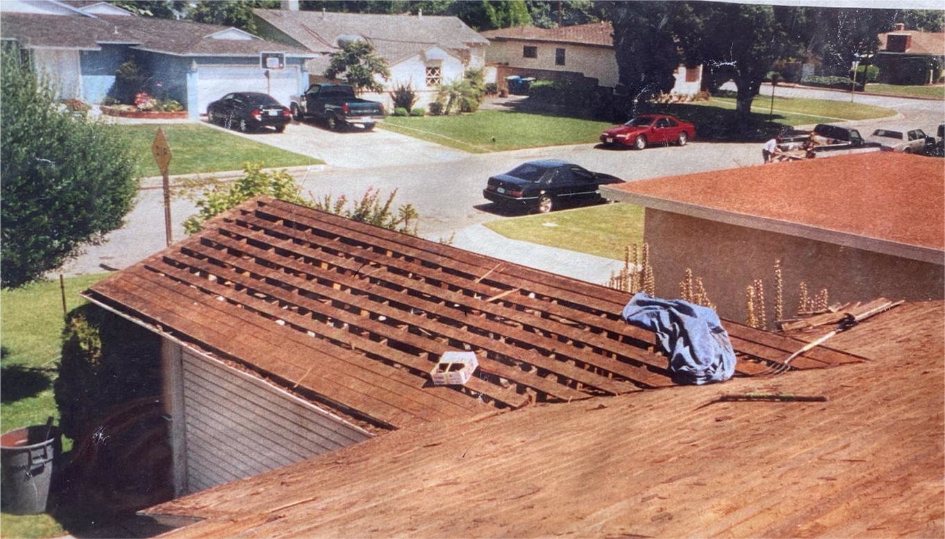 Bare roof3