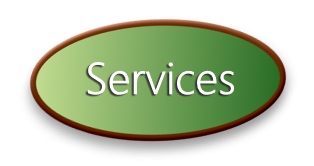 Services7