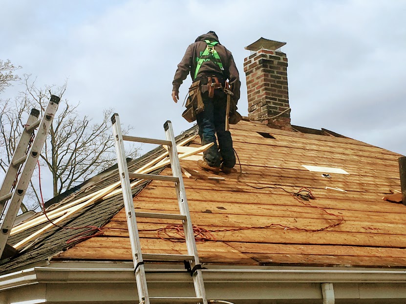 roof 36